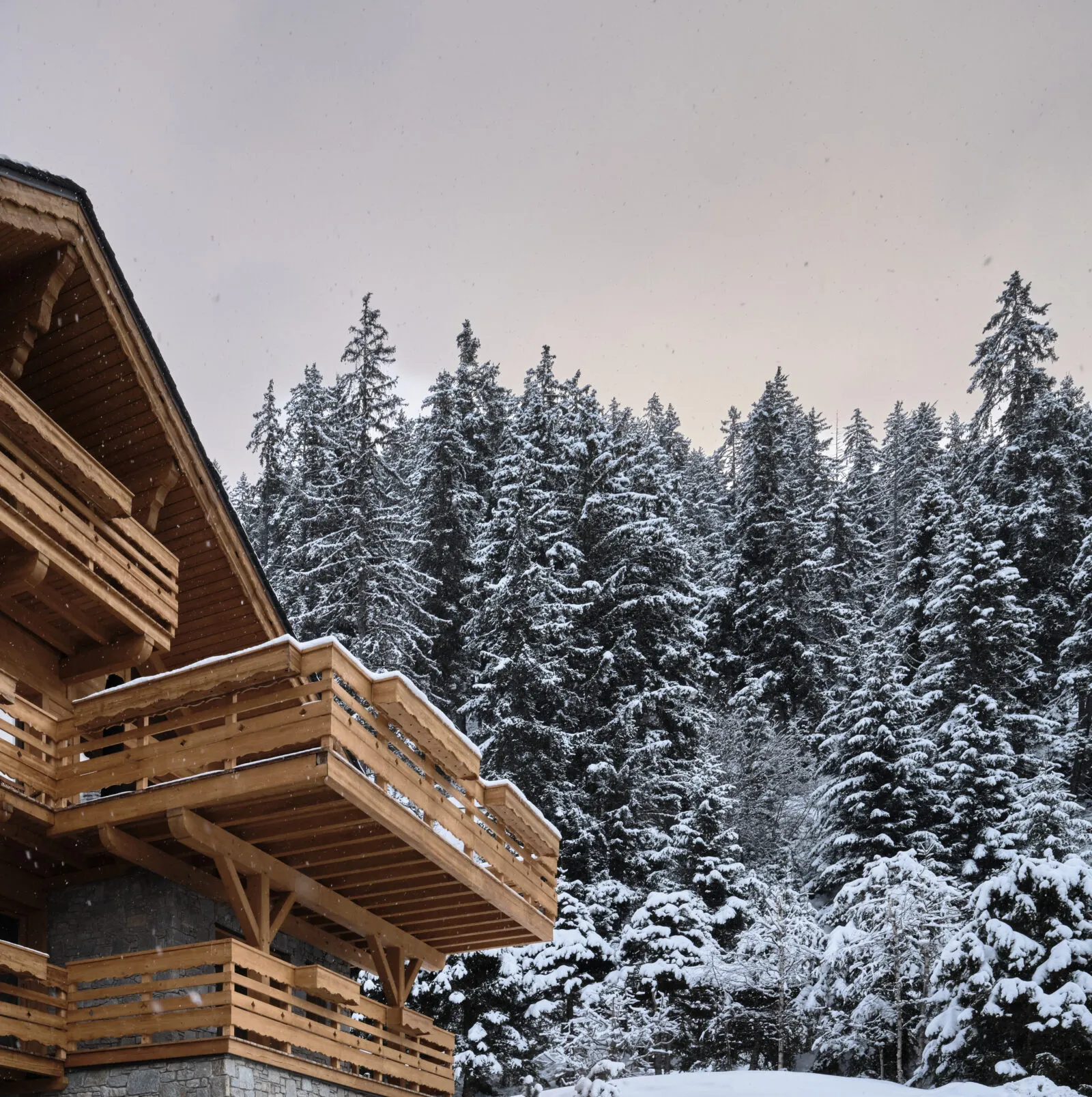 Image for SAS 2GM devient Arolis